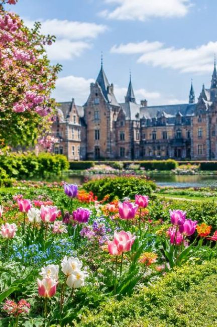 Floralies en Belgique : les jardins et événements floraux à découvrir au fil des saisons