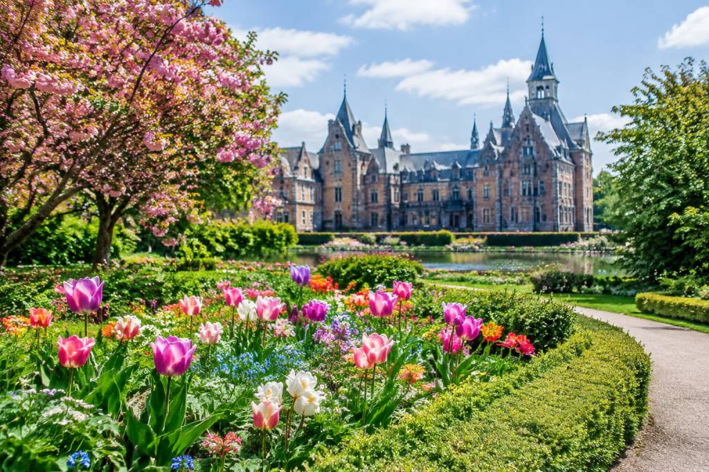 Floralies en Belgique : les jardins et événements floraux à découvrir au fil des saisons