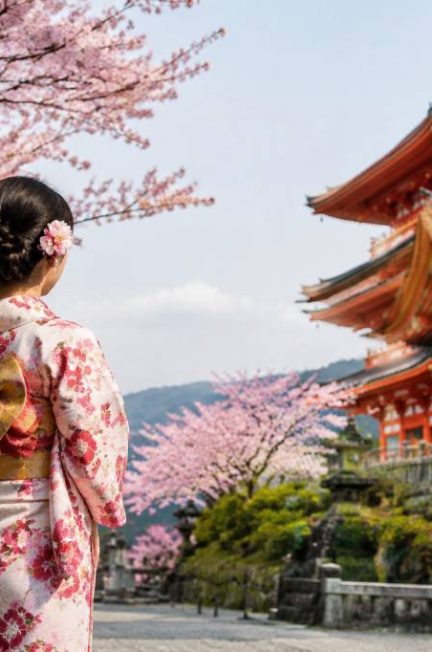 Culture nippone : traditions, coutumes et art de vivre au Japon